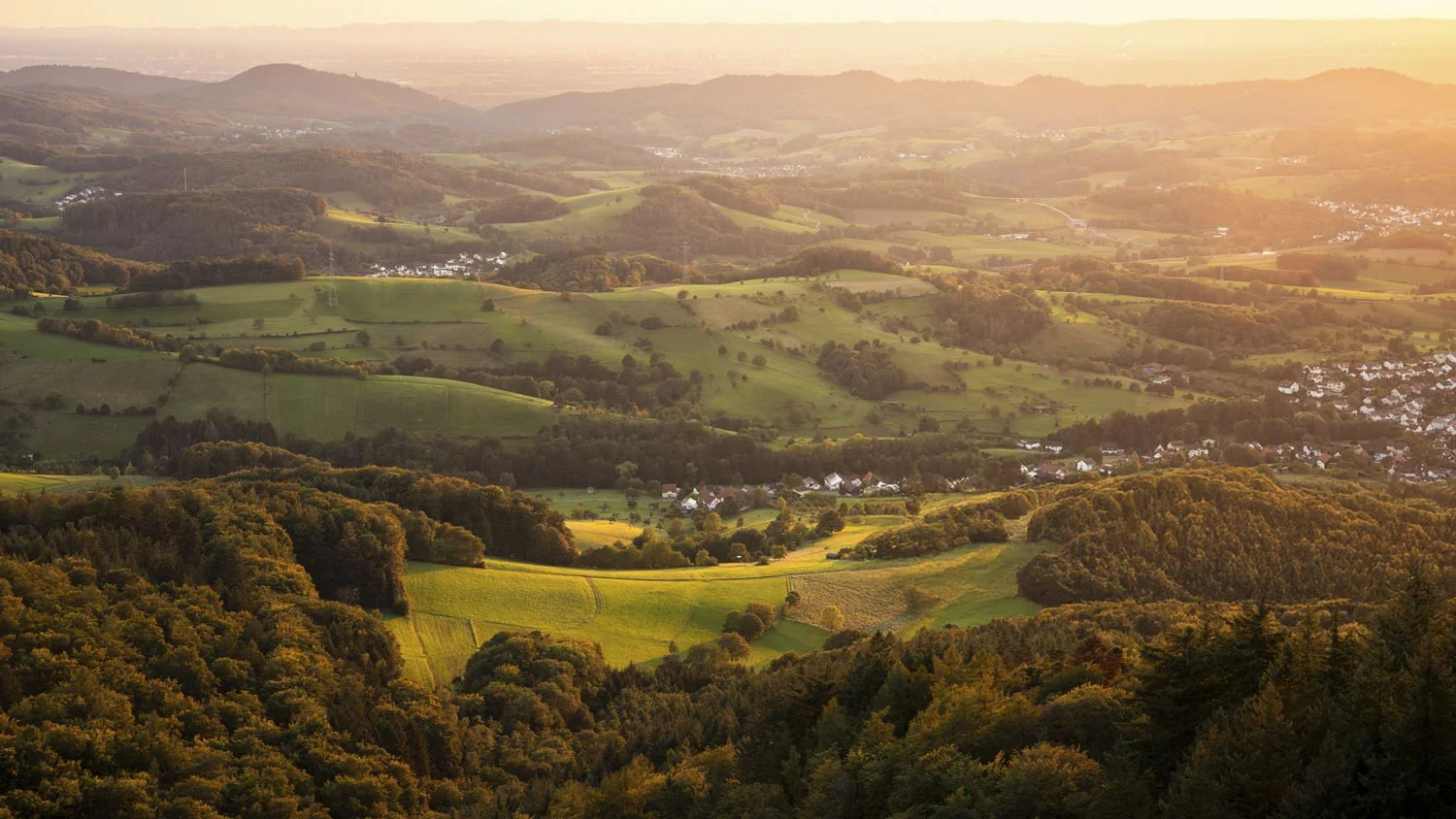 ChatGPT Image Aug 28 2025 05 04 29 PM